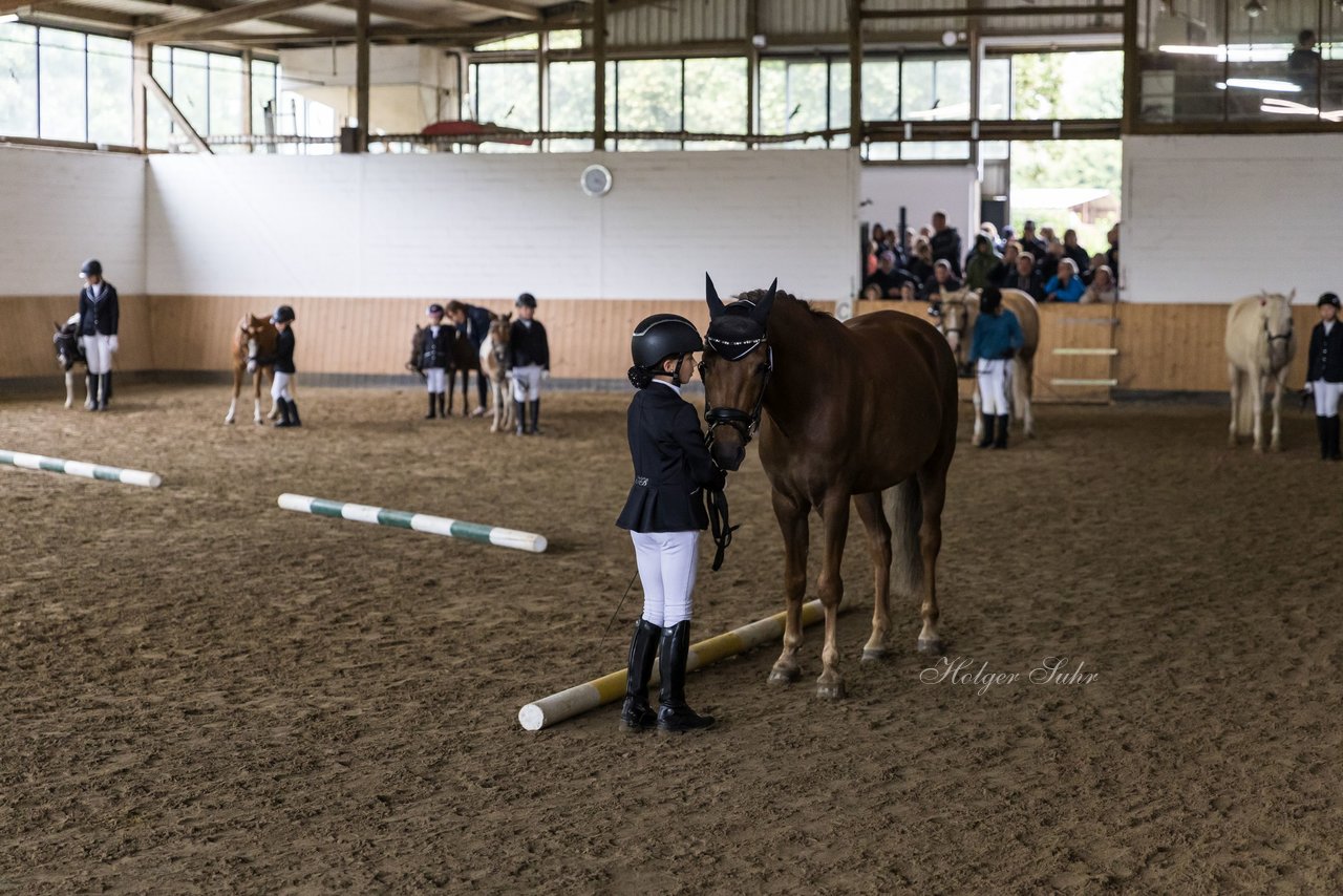 Bild 51 - Pony Akademie Turnier